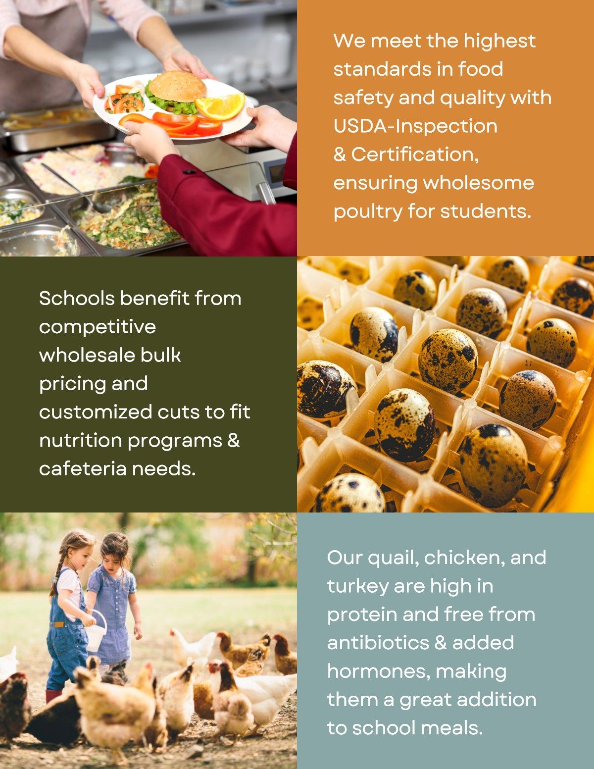 Steadfast Farms Farm2School guide, page 5 of 9