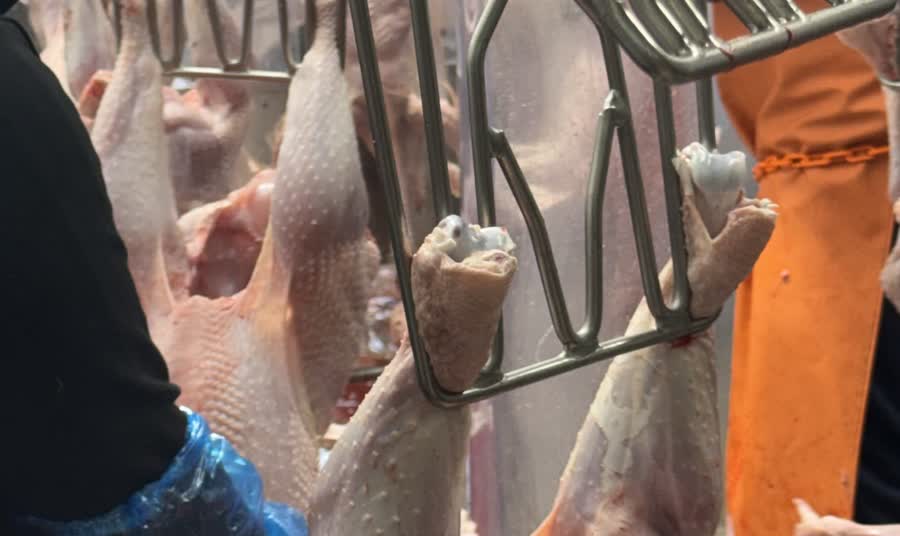 On the line at Steadfast Farms. A turkey that doesn't sell whole at Thanksgiving is still a good turkey in January, and what it becomes is up to the farm.