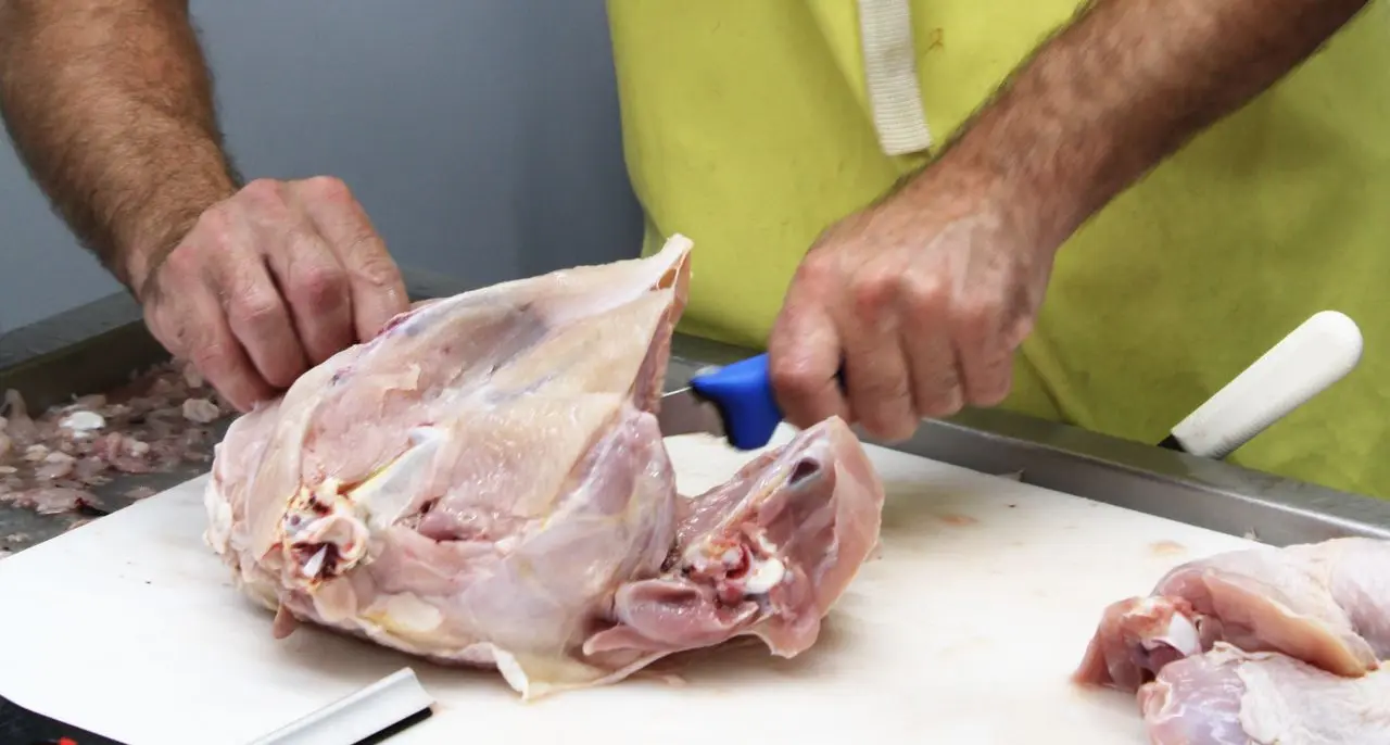 USDA Poultry Processing