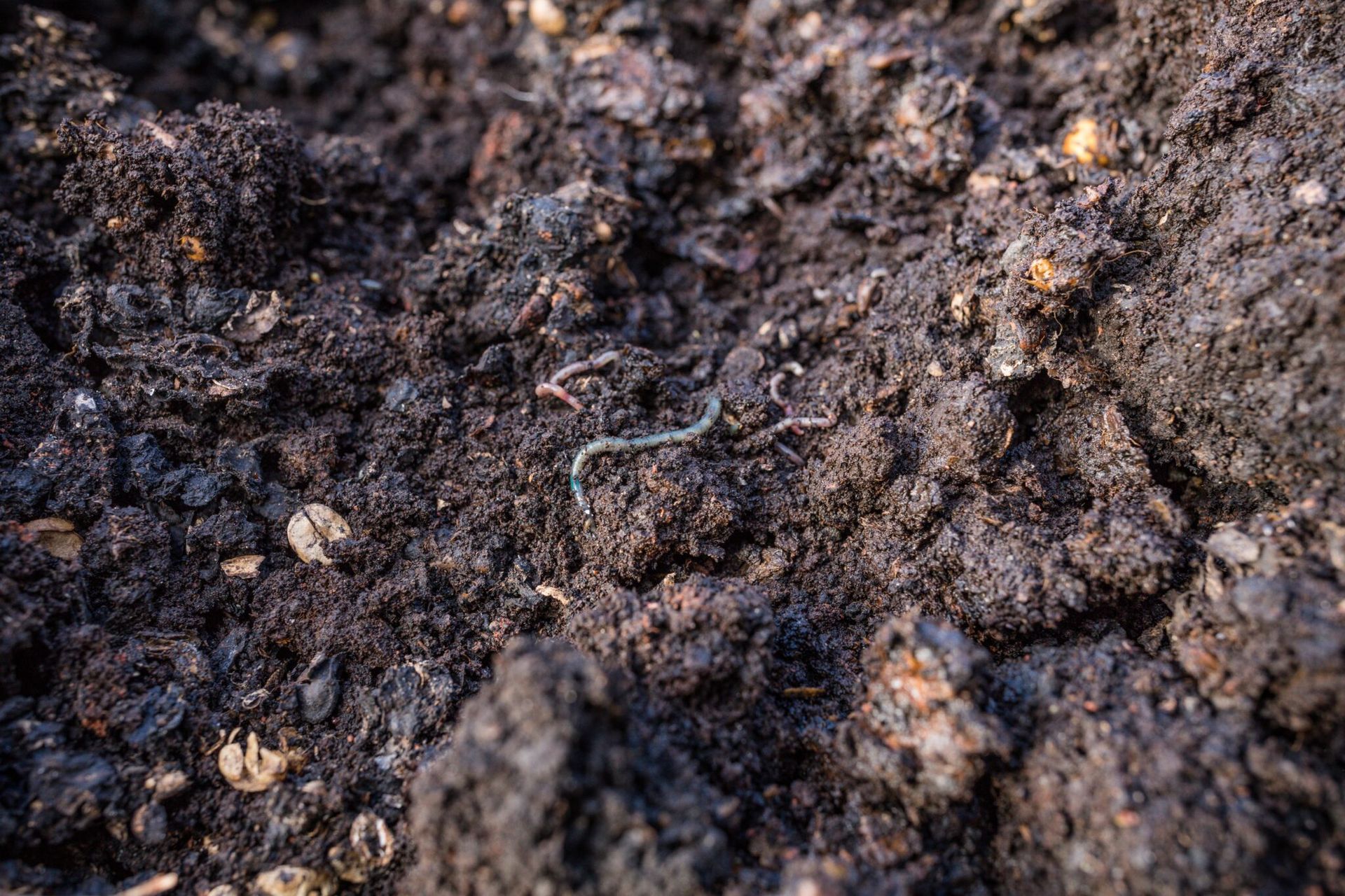 Our Responsible Farming Practices | Steadfast Farms