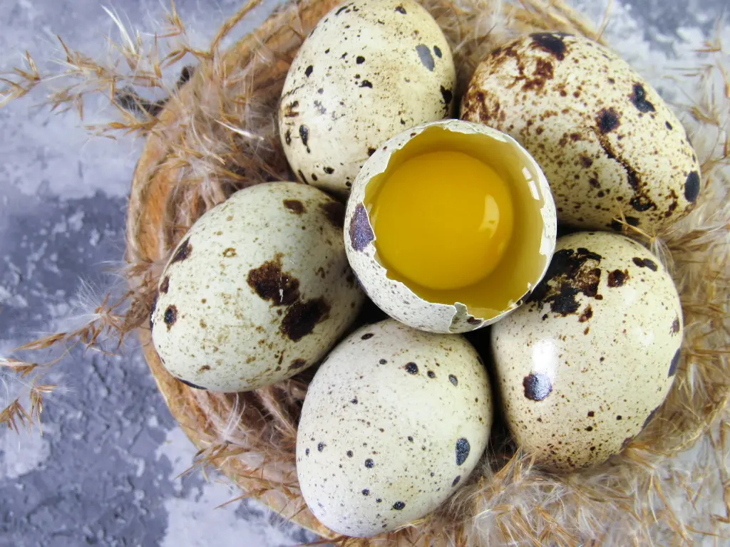 unsplash_vlXj7z9nhkE_quail eggs.jpg.jpg.webp