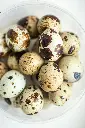 unsplash_5-OiWCZLb2I_quail eggs.jpg.webp