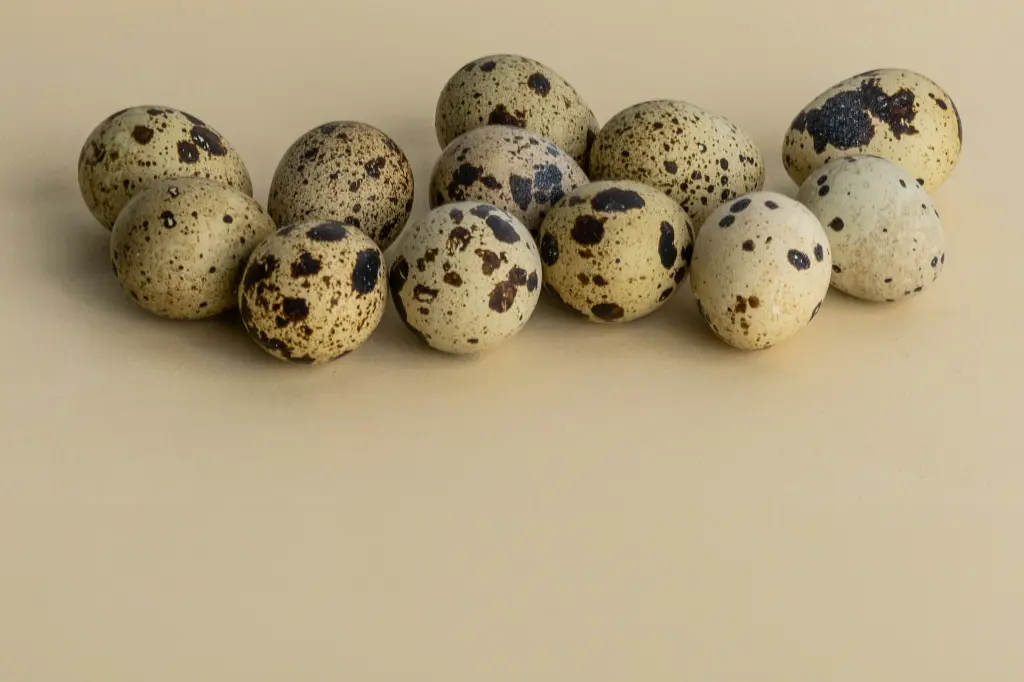 unsplash_uBsj_VLhHl0_quail eggs.webp