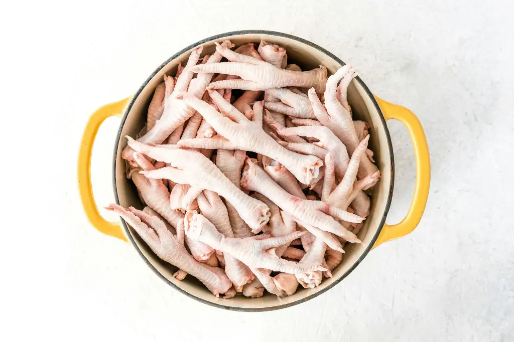 unsplash_L79DELR51qM_chicken feet.webp