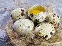 unsplash_sDcW-XZXgk8_quail eggs.jpg.jpg.jpg.jpg.jpg.webp