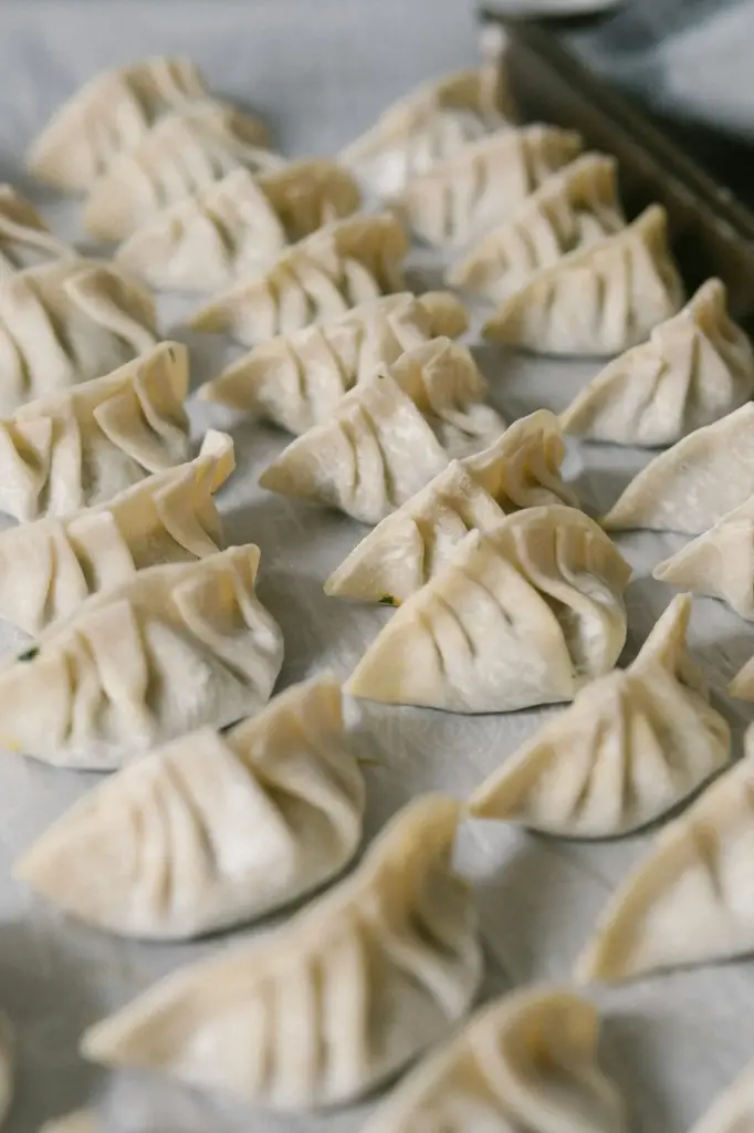 Chicken Dumplings (Single Pack)