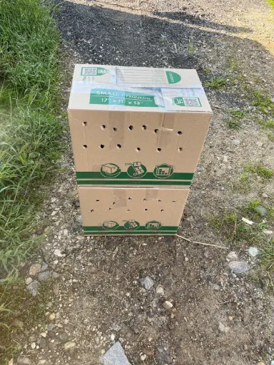 Transport Box