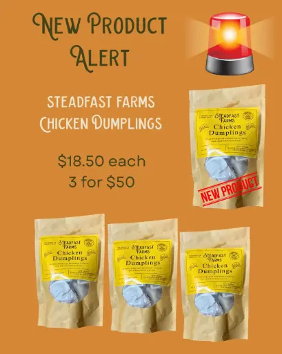 Chicken Dumplings
